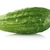Fresh raw cucumber isolated on white  stock photo © dla4