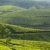 chá · céu · folha · verde · montanhas · agricultura - foto stock © dmitry_rukhlenko
