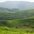 茶 · 空 · 葉 · 緑 · 山 · アジア - ストックフォト © dmitry_rukhlenko
