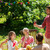 gelukkig · gezin · diner · zomer · tuinfeest · recreatie · vakantie - stockfoto © dolgachov