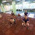 grupo · de · personas · gimnasio · deporte · fitness · levantamiento · de · pesas - foto stock © dolgachov