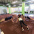 grupo · de · personas · gimnasio · fitness · deporte · formación - foto stock © dolgachov