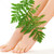 female feet with green leaf stock photo © dolgachov
