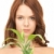 女性 · 芽 · 画像 · 白 · 健康 · 緑 - ストックフォト © dolgachov