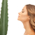 Frau · Aloe · Bild · Gesicht · Gesundheit · grünen - stock foto © dolgachov
