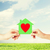 couple hands holding green paper house stock photo © dolgachov