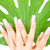 weiblichen · Hände · green · leaf · Bild · weiß · Frau - stock foto © dolgachov