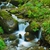 creek stock photo © dotshock