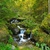 creek stock photo © dotshock