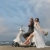 情侶 · 海灘 · 白 · 婚禮 - 商業照片 © dotshock