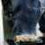 chef · pasto · bella · giovani · donna · gustoso - foto d'archivio © dotshock
