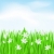 erba · verde · fiori · bianchi · primavera · biglietto · d'auguri · cielo · natura - foto d'archivio © dvarg