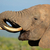 African elephant portrait stock photo © EcoPic