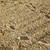 impronte · sabbia · umani · passo · pneumatico · spiaggia · di · sabbia - foto d'archivio © eldadcarin