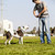 Pitbull and Dog Owner stock photo © eldadcarin