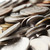 monedas · macro · blanco · tiro · grande · cantidad - foto stock © eldadcarin