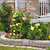 jardin · pierre · aménagement · paysager · naturelles · maison · rose - photo stock © elenaphoto