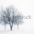 Winter trees in fog stock photo © elenaphoto