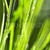 erba · verde · naturale · erba · abstract · natura - foto d'archivio © elenaphoto