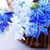 erste · Frühlingsblumen · blau · Bouquet · Blume - stock foto © elenaphoto