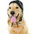 Золотистый · ретривер · собака · зима · Hat · смешные - Сток-фото © elenaphoto
