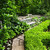 exuberante · verde · jardín · piedra · paisajismo · camino - foto stock © elenaphoto