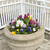 kamień · wiosennych · kwiatów · domu · patio · kwiat · kwiaty - zdjęcia stock © elenaphoto