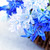 erste · Frühlingsblumen · blau · Bouquet · legen - stock foto © elenaphoto