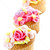 rangée · savoureux · cerise · fleurs · alimentaire - photo stock © elenaphoto