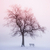 Winter tree in fog at sunrise stock photo © elenaphoto