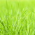 iarba · verde · natural · iarbă · abstract · natură - imagine de stoc © elenaphoto