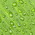 緑色の葉 · 雨滴 · 自然 · 緑 · 工場 · 葉 - ストックフォト © elenaphoto
