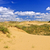 砂漠 · 風景 · カナダ · 精神 · スプルース · 森 - ストックフォト © elenaphoto