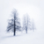 invierno · árboles · niebla · brumoso - foto stock © elenaphoto