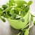 Green sunflower sprouts in a cup stock photo © elenaphoto
