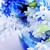 primo · fiori · di · primavera · blu · bouquet · primo · piano · fiore - foto d'archivio © elenaphoto