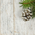 Christmas background with ornaments on branch stock photo © elenaphoto