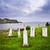 Tombstones near Atlantic coast in Newfoundland stock photo © elenaphoto