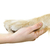 menselijke · hand · hond · poot · geïsoleerd · witte - stockfoto © elenaphoto