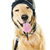golden · retriever · köpek · kış · şapka · komik - stok fotoğraf © elenaphoto