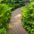 tijolo · caminho · jardim · luxuriante · verde · verão - foto stock © elenaphoto