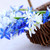 erste · Frühlingsblumen · blau · Bouquet · Blume - stock foto © elenaphoto