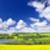 草原 · パノラマ · サスカチュワン州 · カナダ · パノラマ · 風景 - ストックフォト © elenaphoto