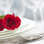 romántica · cena · mesa · dos · rosas · placas - foto stock © elenaphoto