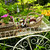 Flower cart in garden stock photo © elenaphoto