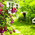 ホーム · 庭園 · パス · 石 · 家 - ストックフォト © elenaphoto