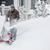 Man clearing driveway with snowblower stock photo © elenaphoto