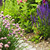 ścieżka · ogród · bujny · lata · kwiaty - zdjęcia stock © elenaphoto