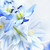 erste · Frühlingsblumen · floral · Blume · Blumen - stock foto © elenaphoto