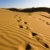 足跡 · 沙 · 沙漠 · 性質 · 夏天 · 冒險 - 商業照片 © ErickN